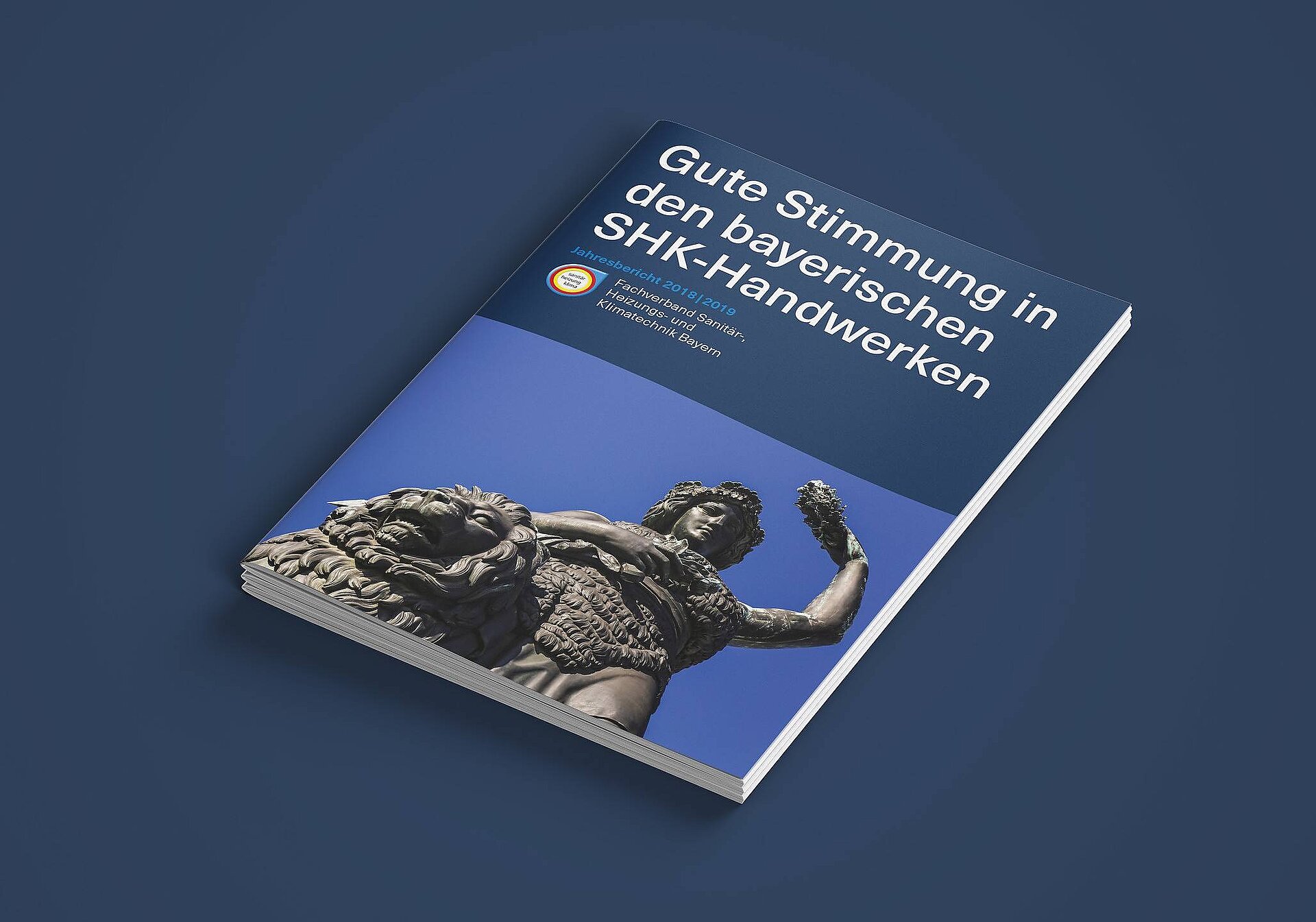 FSHK Jahresbericht 2018/2019 Titel